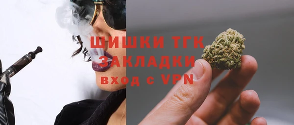 дмт Алексин