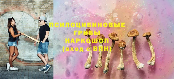дмт Алексин
