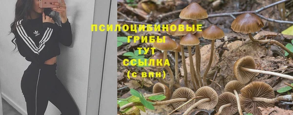 винт Алзамай