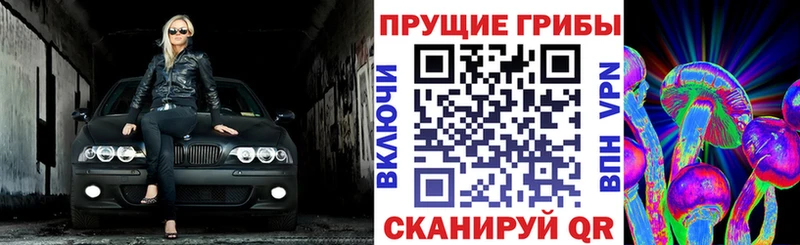 Галлюциногенные грибы мицелий  продажа наркотиков  Новоузенск 